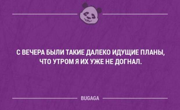 Смешные фразы и забавные мысли. Часть 47 (18 шт)