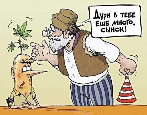 Картинки с надписями, истории и анекдоты