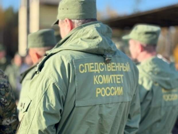 Председателю СК России представят доклад о ходе расследования уголовного дела по фактам противоправных действий в отношении несовершеннолетней в Санкт-Петербурге