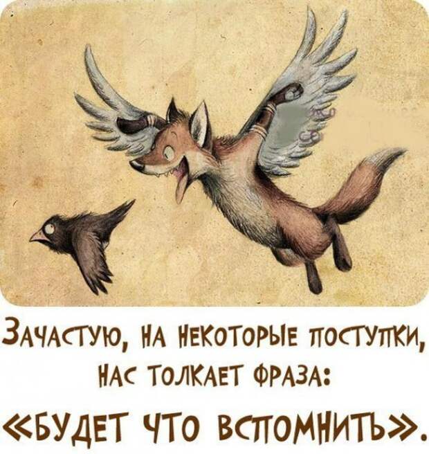 Мудрые мысли в прикольных картинках Мудрые мысли в прикольных картинках