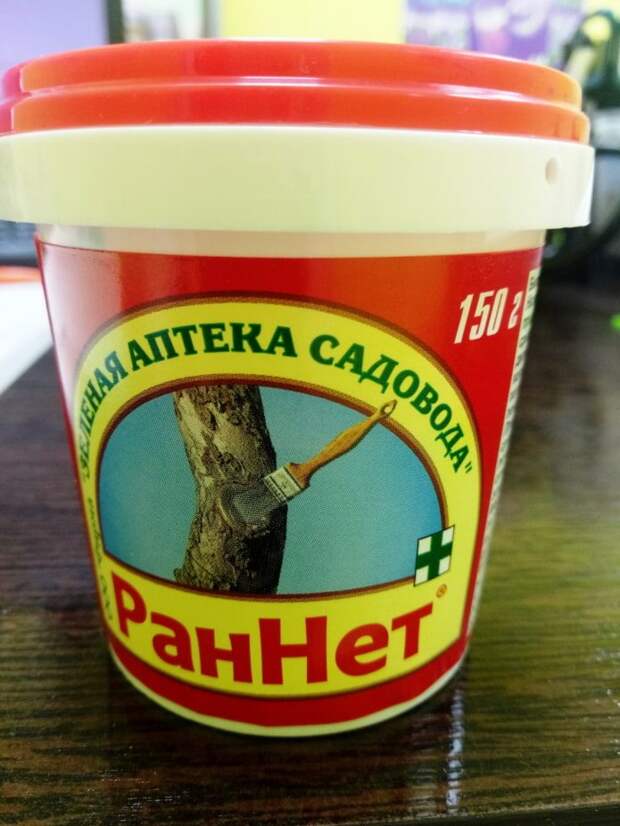 Чем замазать дерево после обрезки