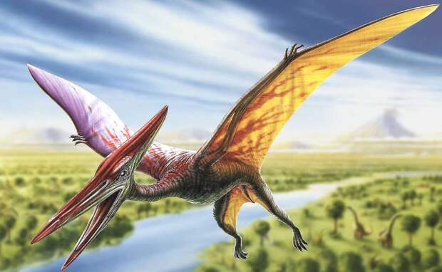 SciRep: птерозавры с размахом крыльев 4,6 метра летали над Земле 100 миллионов лет назад
