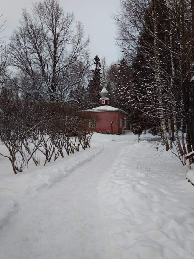 Прогулка по усадьбе Мураново путешествия, тютчев, факты, фото