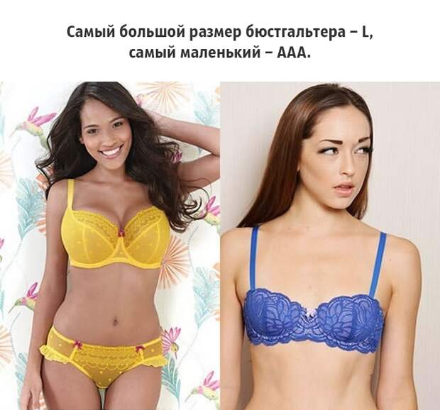 25 малоизвестных фактов о груди, которые должен знать каждый грудь, факты