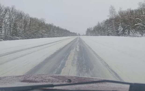 "Улетают на обочины": рязанские водители жалуются на состояние трассы М-5