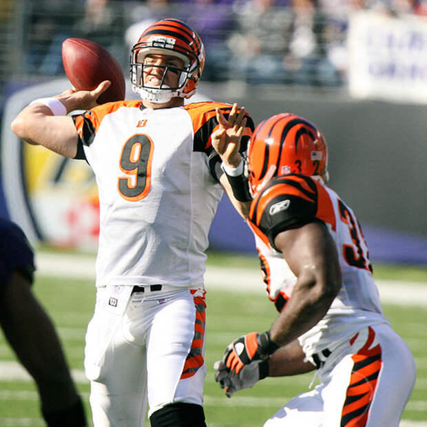 Carson Palmer