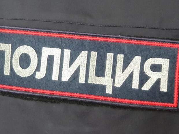 Полиция проверит версию умышленных поджогов леса около Смоленки