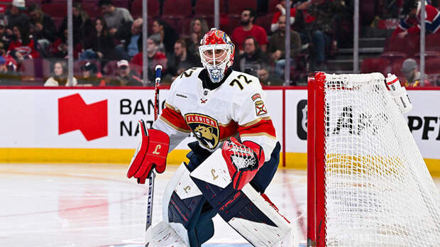 Вратарь Бобровский подрался с американским голкипером Недельковичем