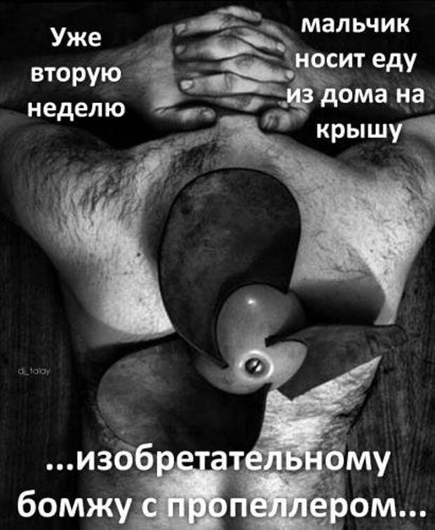 Афоризмы и прикольные анекдоты в картинках.
