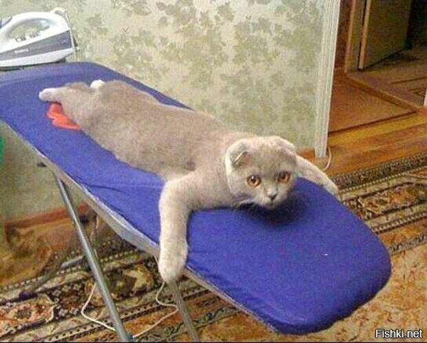 f5b03809173d64c78bf927d702b39b59 (544x437, 205Kb)