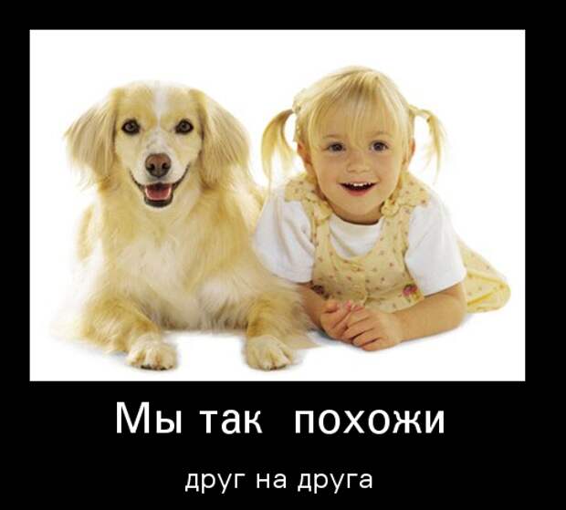 images_856