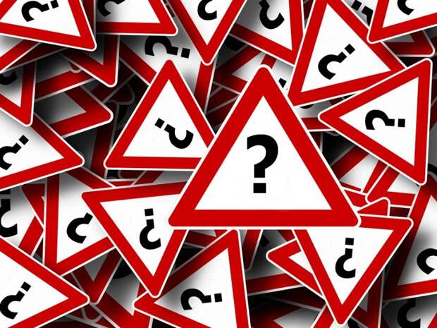 Вопросы, важные для всех» зададут в школе на Синявинской