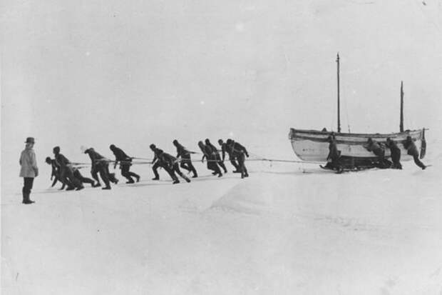 Экипаж Шеклтона тянет спасательную шлюпку по льду.