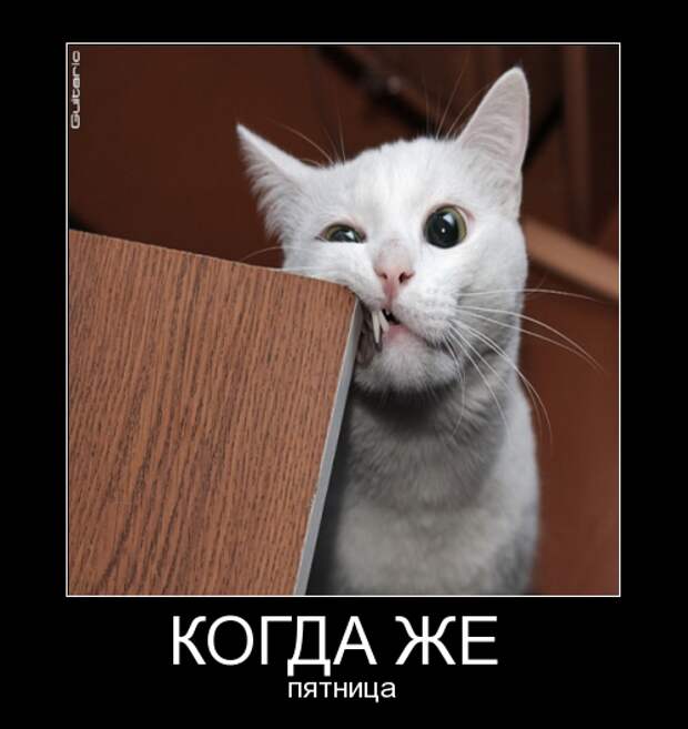a2bd502270825694bf4491c76c7313a8