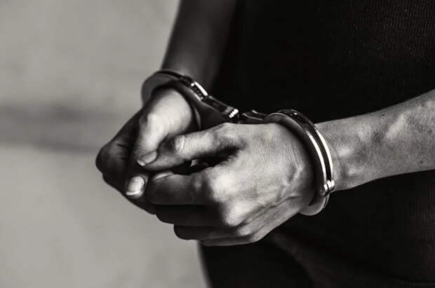 NYP: житель США объяснил кражу 180 кг авокадо желанием купить подарки детям