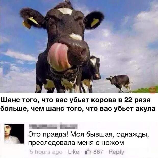 s-a_WcUzWzg