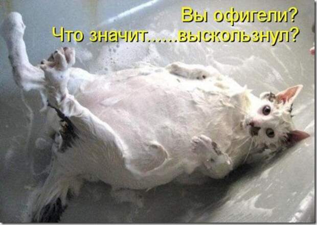 7514c6f87ef7516e04a6d6618d7_prev