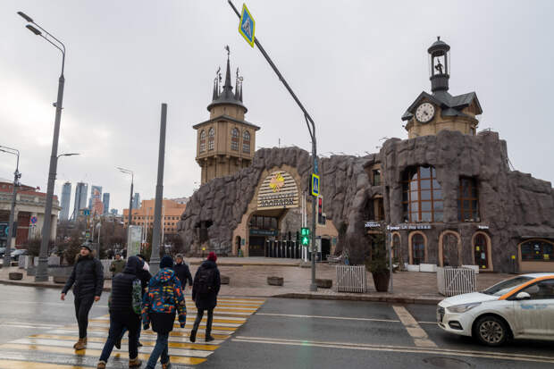 Стало известно о состоянии помогавшего российским военным в зоне СВО ослика Жорика