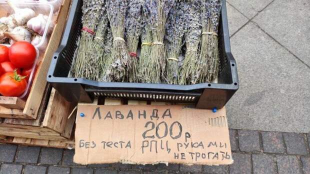 Нарочно не придумаешь: всё об убойных опечатках