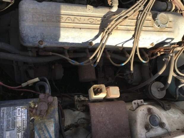 Datsun 280Z 1977 года выпуска, который последние 32 года хранился в сарае