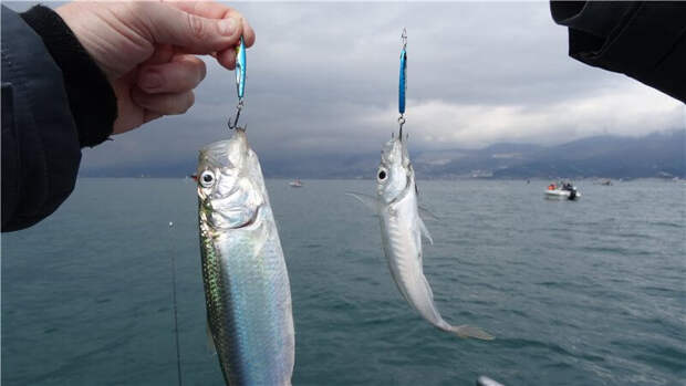 пилькеры для морской рыбалки своими руками