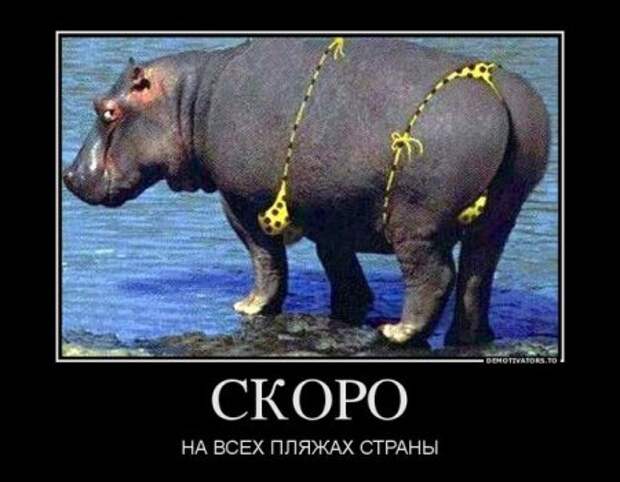 Демотиваторы! Ура! Отрывайся!