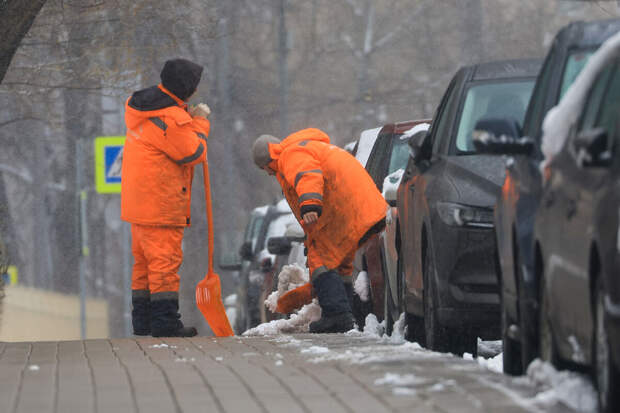 Экономист Николаев увидил конфликт между патентной и контрактной системами найма мигрантов