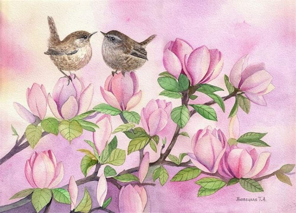 Картины птички с цветами. Живопись цветы и птицы. Весенние птицы живопись. Весенние птицы акварель.