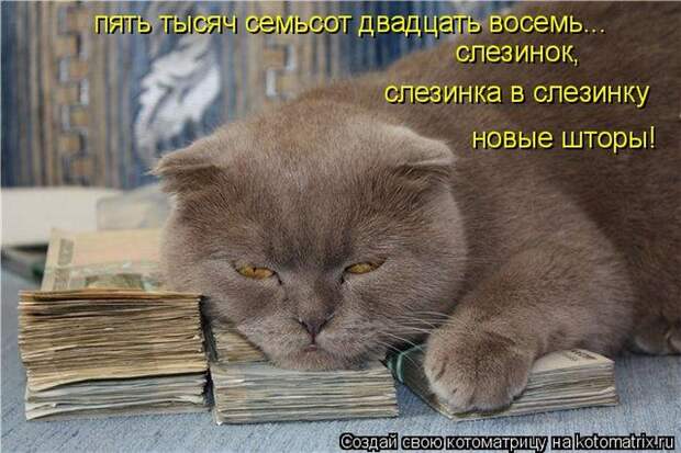 Лучшие котоматрицы недели (50 фото)
