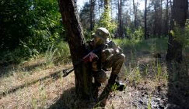 Крым: разведка боем