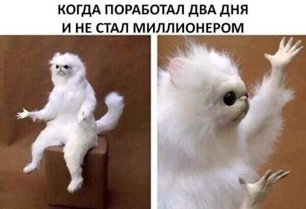 Прикольные картинки абавсём:D (05.08.16)