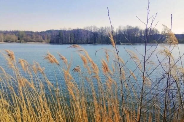 Мама пропавшей в Звенигороде школьницы сутками дежурит у реки