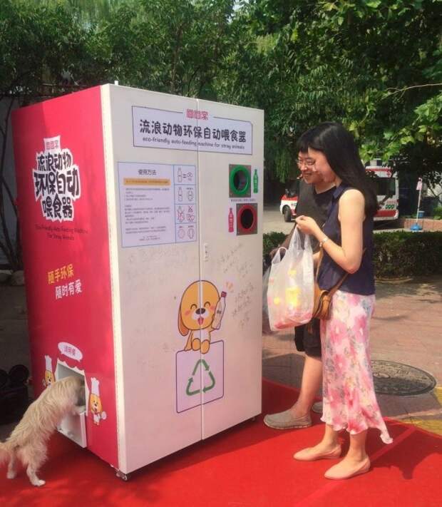 Автомат для раздачи корма бездомным животным доброта, животные, мир
