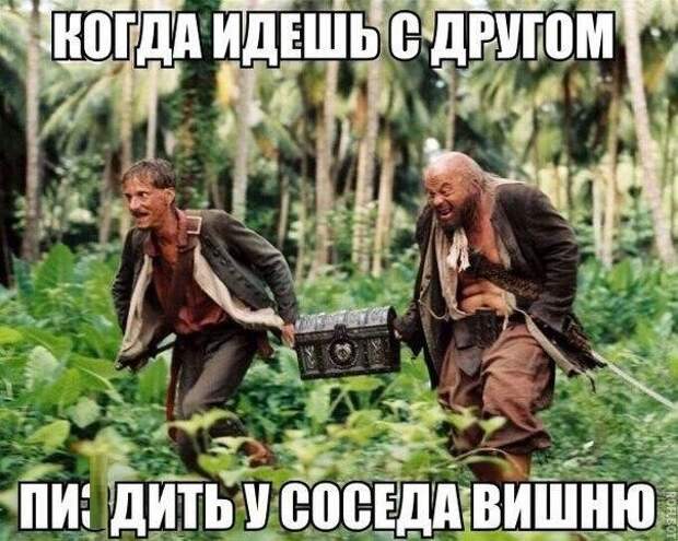 Пятничная подборка забавных картинок забавные картинки, прикол, юмор