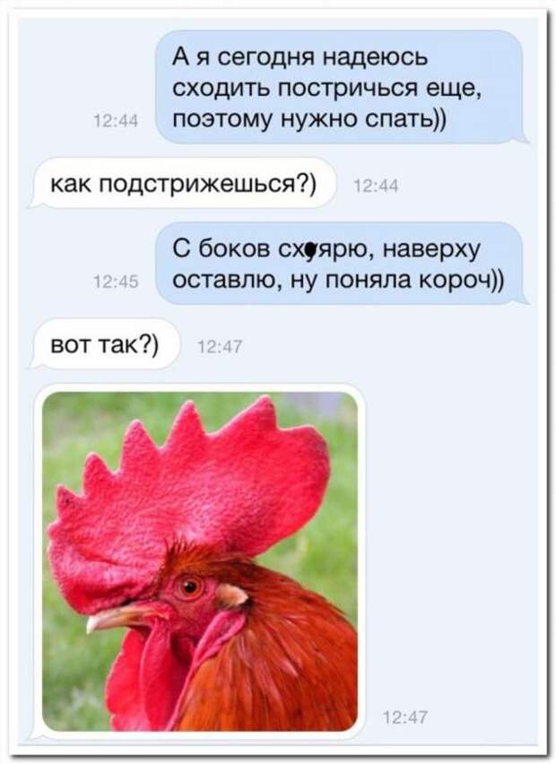Смешные комментарии. Подборка chert-poberi-chert-poberi-07440603032020-8 картинка chert-poberi-07440603032020-8