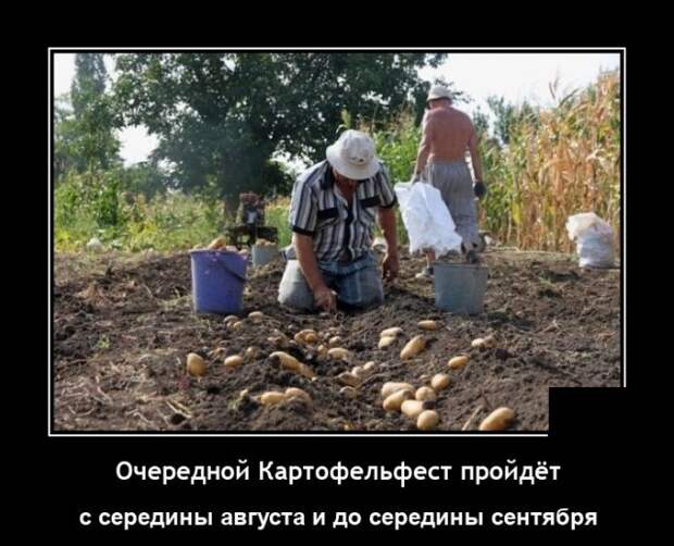 Демотиваторы 12 августа 2021 года