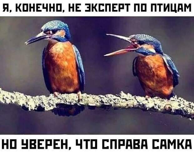 Подборка картинок. Вечерний выпуск (30 фото)