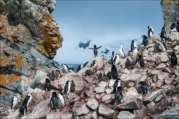 Лучшие фото National Geographic 2013 Лучшие фото National Geographic 2013