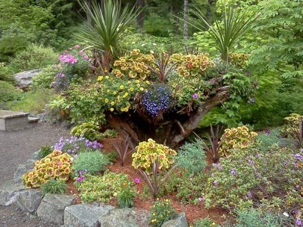необычные деревья-клумбы в ботаническом саду Glacier Gardens на Аляске ОПРОКИНУТЫЕ ДЕРЕВЬЯ В ЭКЗОТИЧЕСКОМ САДУ