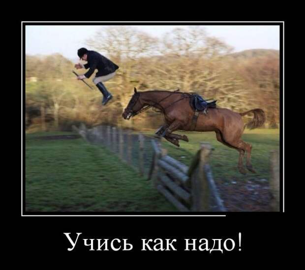 Демотиваторы