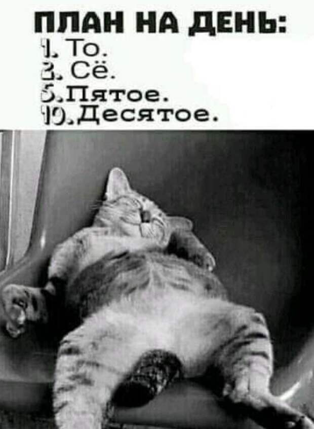 картинки прикольные смешные (7)