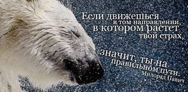 Полезные цитаты на все случаи жизни (64 картинки)