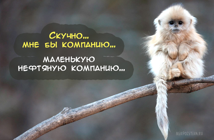 Самая веселая подборка прикольных картинок