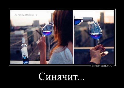 Свежие демотиваторы-приколы (12 шт)