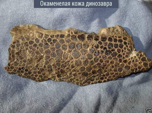 6.