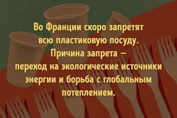 Интересные факты для любознательных