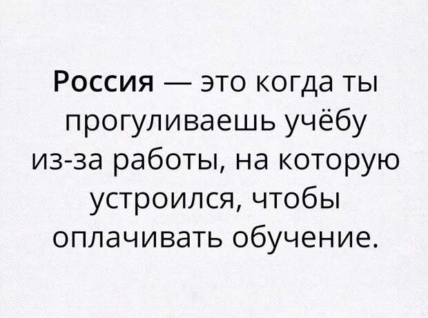 Веселые картинки с надписями до слез (11 фото) Веселые картинки с надписями до слез (11 фото)