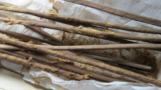 Гигиенические палочки, служившие в качестве туалетной бумаги, найденные на месте древнего туалета.