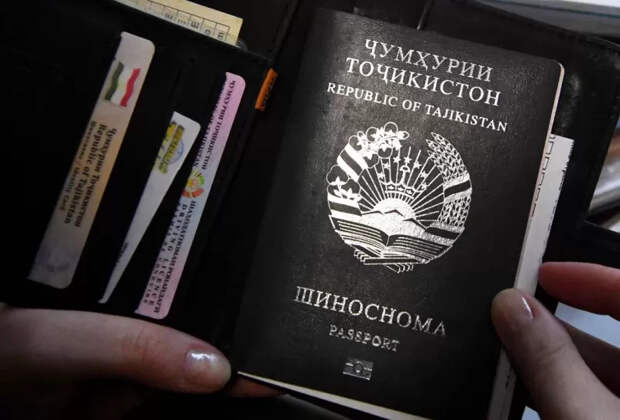 3 лишение гражданства мигранты