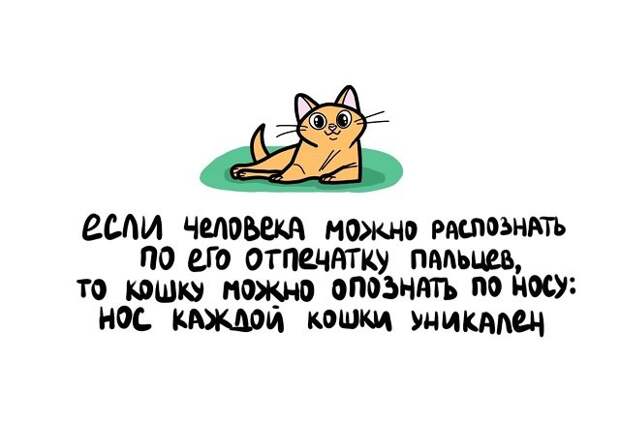Подборка коротких интересных фактов на все случаи жизни